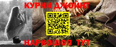 сатива Балахна