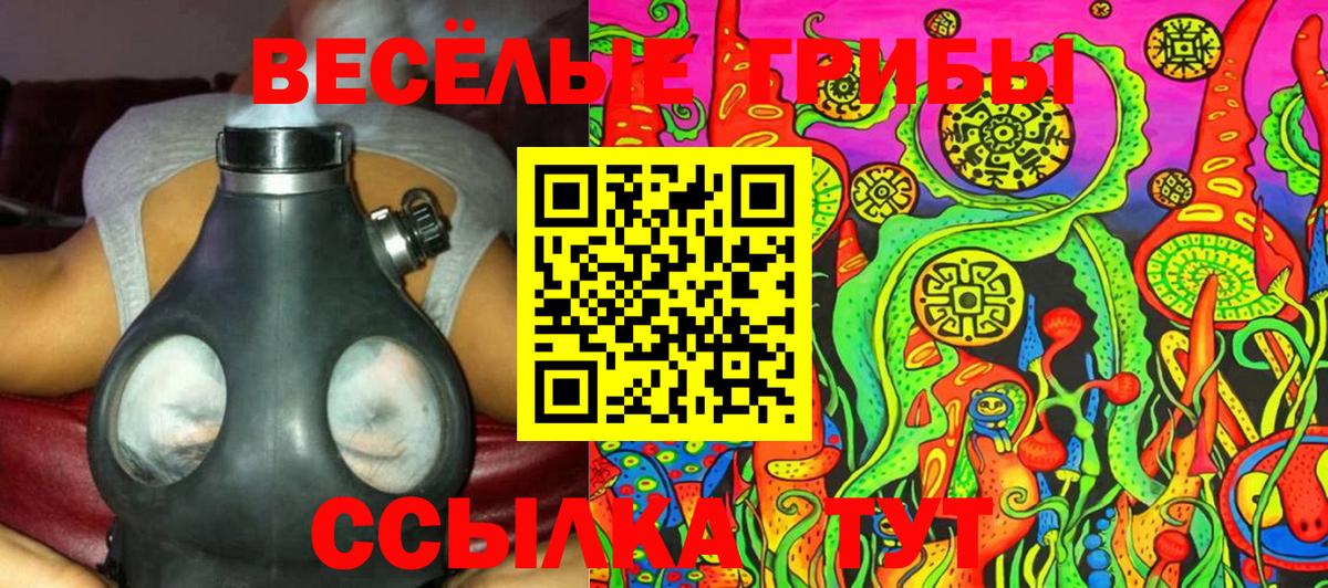 Галлюциногенные грибы Psilocybine cubensis Дубна