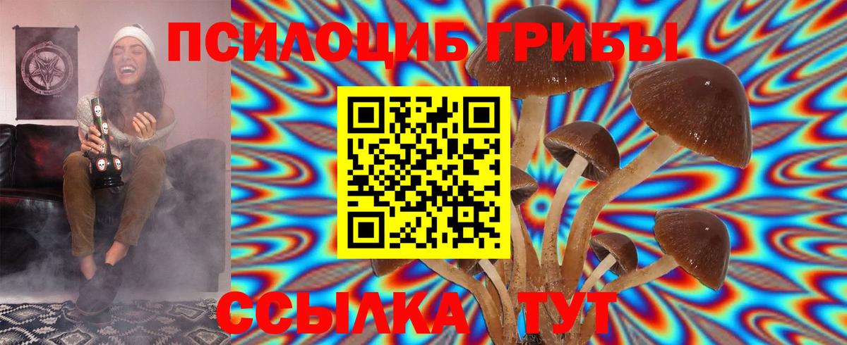 Галлюциногенные грибы ЛСД  Галлюциногенные грибы Psilocybe  Вход с VPN  Дубна 